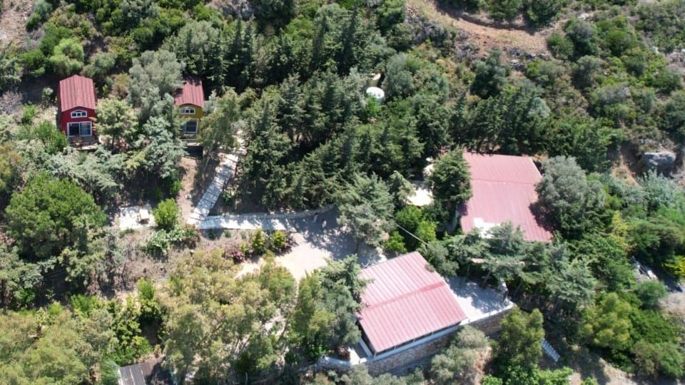 Sole Foça +12 2
