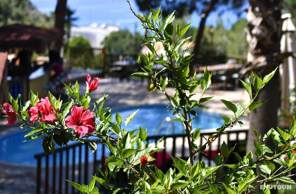 Symbola Ölüdeniz Beach Hotel 3