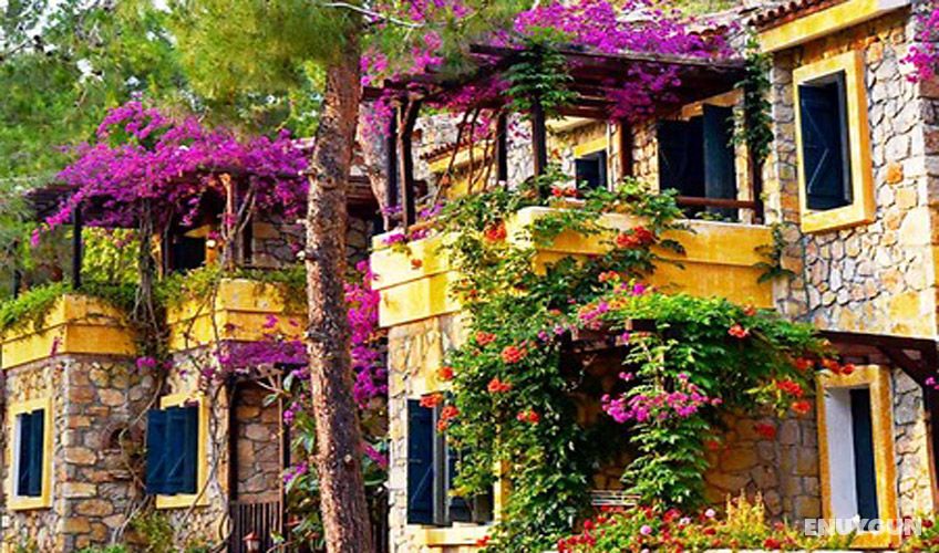Symbola Ölüdeniz Beach Hotel 5