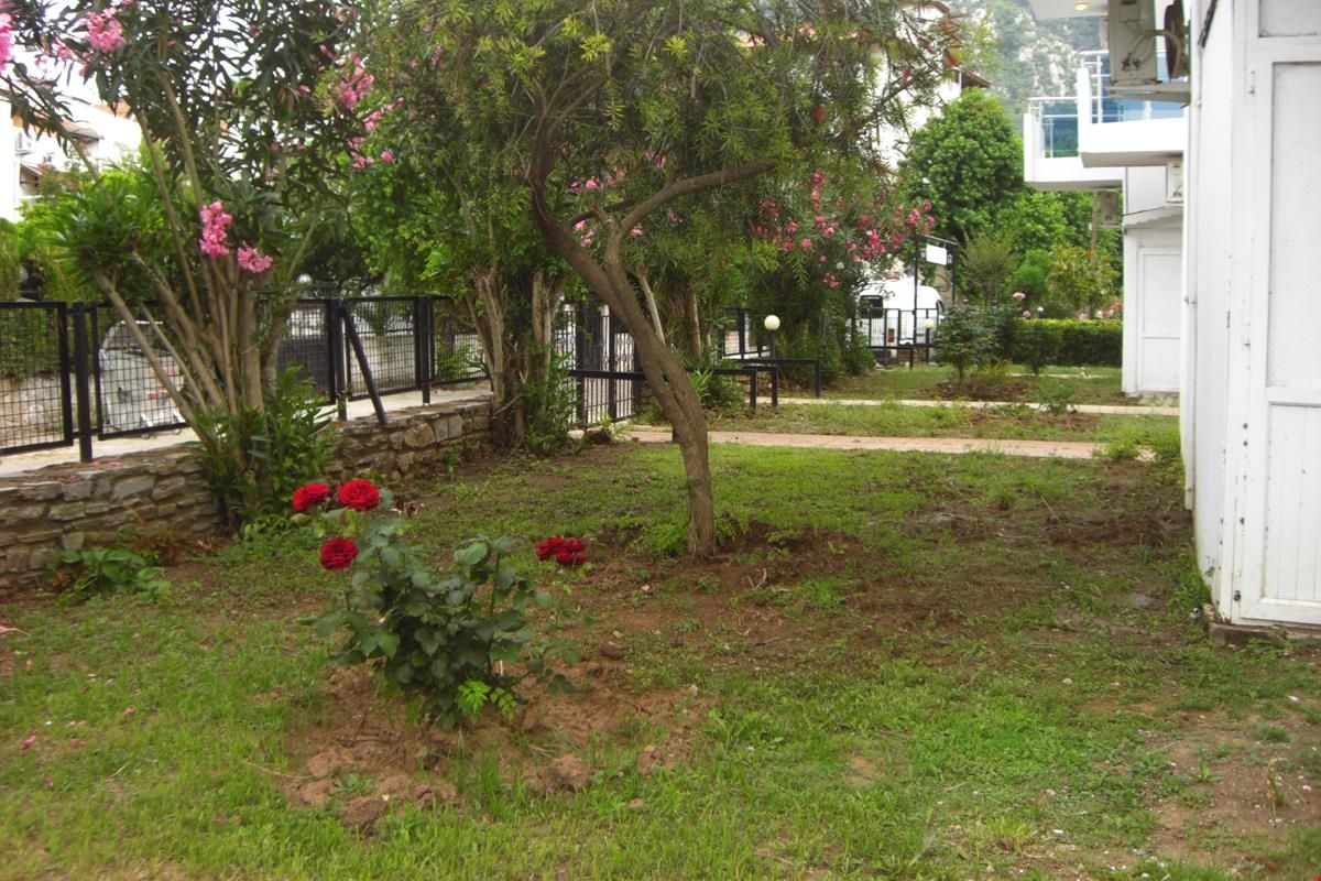 Tolan Apartments 5