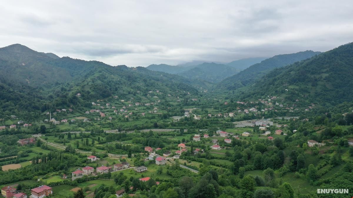 Tutaste Bungalov 2