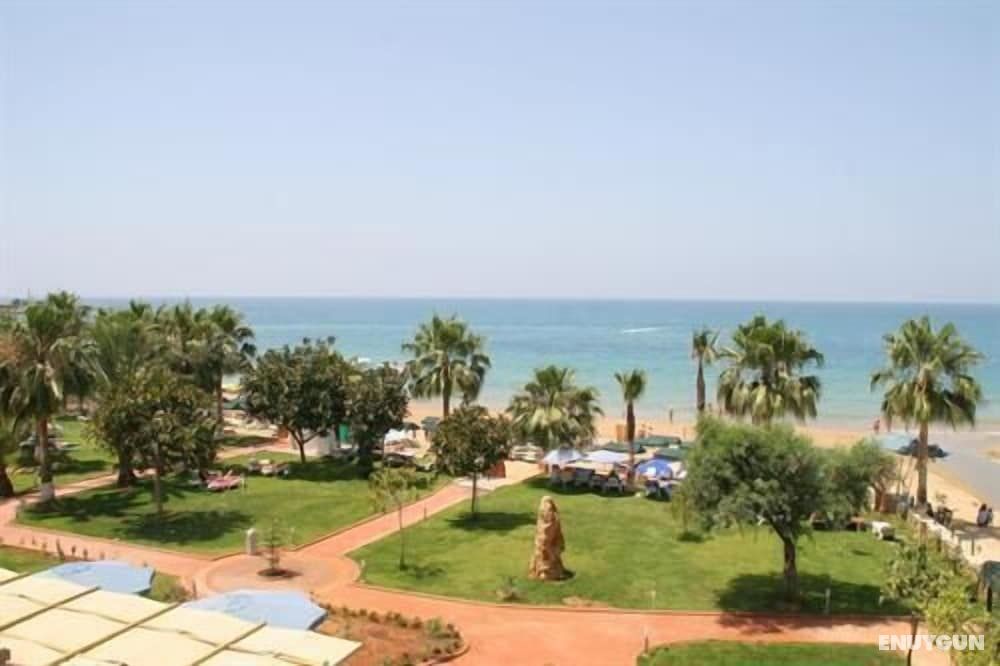 Venessa Beach Hotel 5