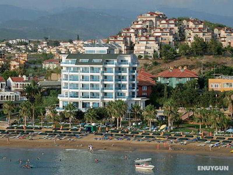 Venessa Beach Hotel 4