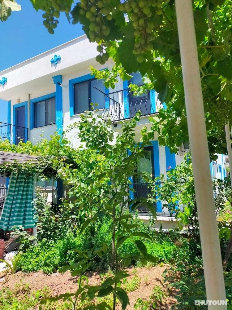 Zeytin Çiçeği Pansiyon 2