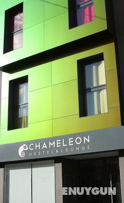 Chameleon Hostel Alicante Genel