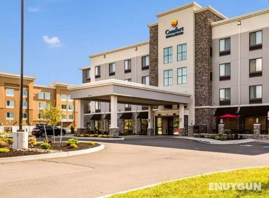 Comfort Inn & Suites Niagara Falls USA Genel
