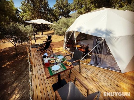 Foca Dome Glamping - Suits Genel