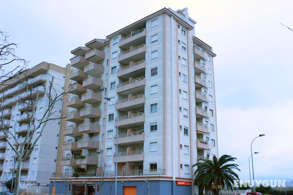 Apartamentos Gandia Playa 3000 Genel