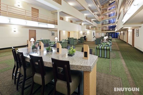 La Quinta Inn & Suites Lubbock West Medical Center Genel
