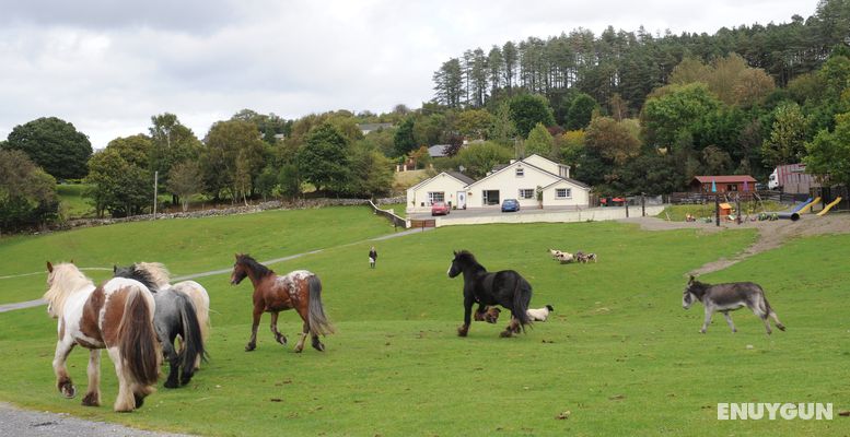 Muckross Riding Stables Genel