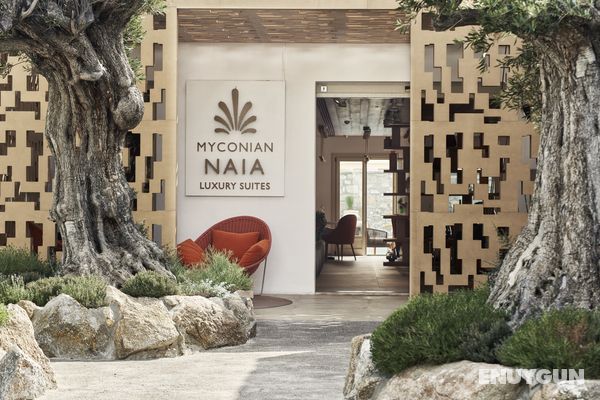 Myconian Naia - Preferred Hotels & Resorts Genel