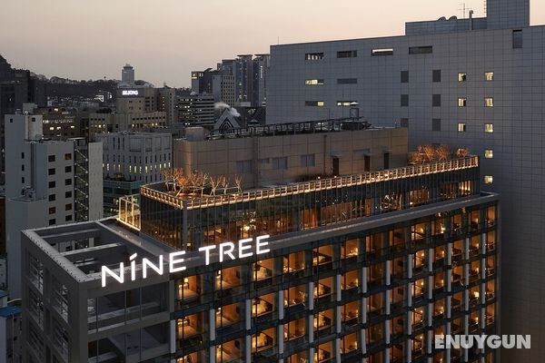Nine Tree Premier Hotel Myeongdong2 Genel