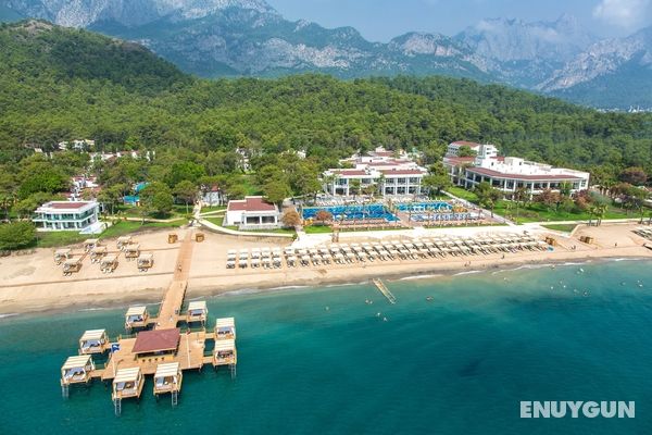Kasinti Kanser Habercisi Olabilir Saglik Haberleri Ntv