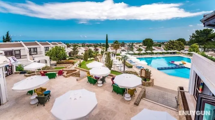 The Olive Tree Hotel