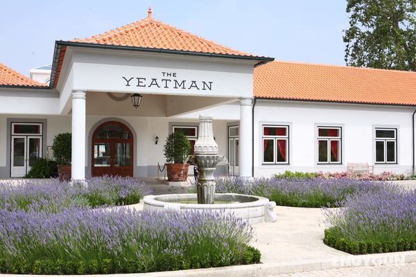 The Yeatman Genel