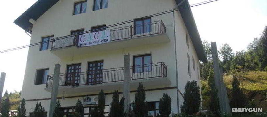 Vicko Guesthouse Genel