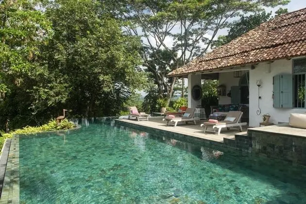 08 Acre Private Tea Estate Close To Galle