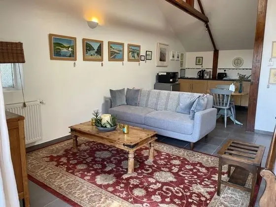 1-bed Luxury Studio Apartment in Tregony, Truro - İç Mekan