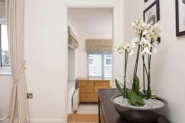 1 Bedroom Flat in South Kensington - İç Mekan