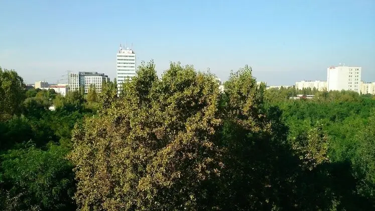 1 bedroom Francuska Park Apartment - Dış Mekan