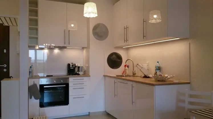 1 bedroom Francuska Park Apartment - Mutfak
