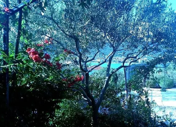 1 - Modern apt w big Garden & Terrace w. sea View - Dış Mekan