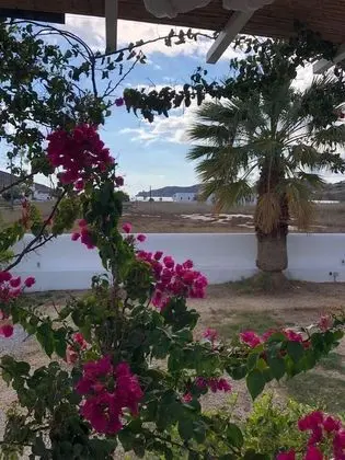 Villa 100 M From THE Beach 6 Room IN IOS Island - Dış Mekan