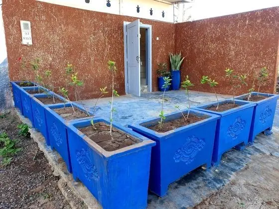 12 Km Surf house - Dış Mekan