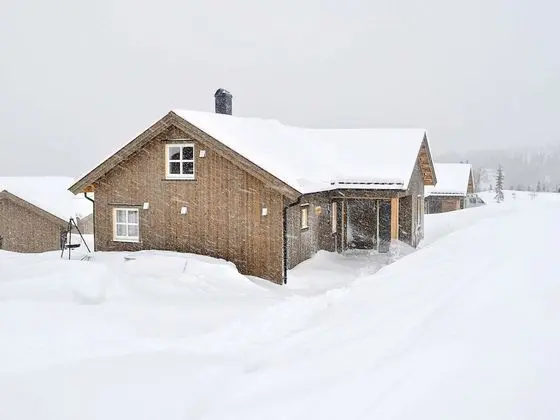 13 Person Holiday Home in Øyer
