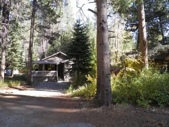1347 Chinquapin