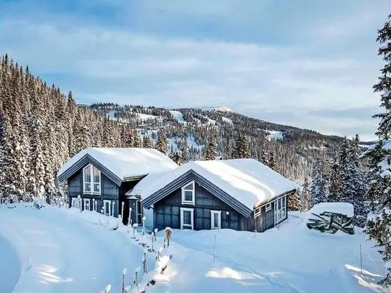 14 Person Holiday Home in Fåvang - 1