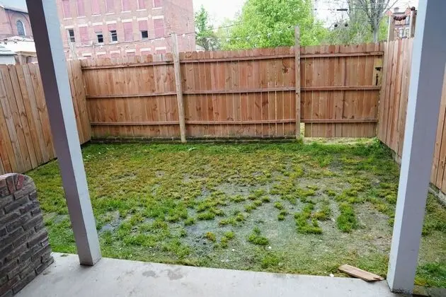 1420 N Franklin- 3Bed/2Bath Home - Dış Mekan