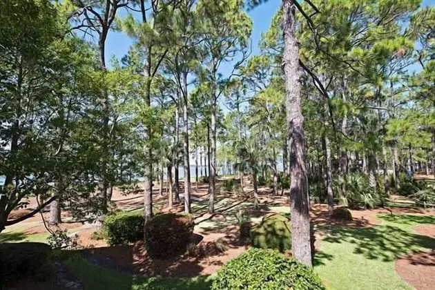 1465 Sound Villa at The Sea Pines Resort - Dış Mekan