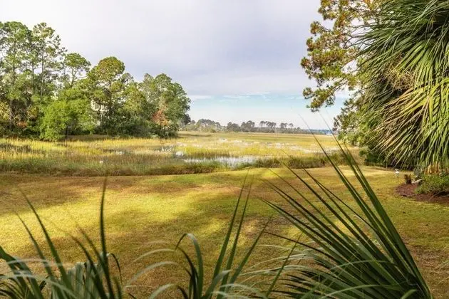 15 Audubon Pond at The Sea Pines Resort - Dış Mekan