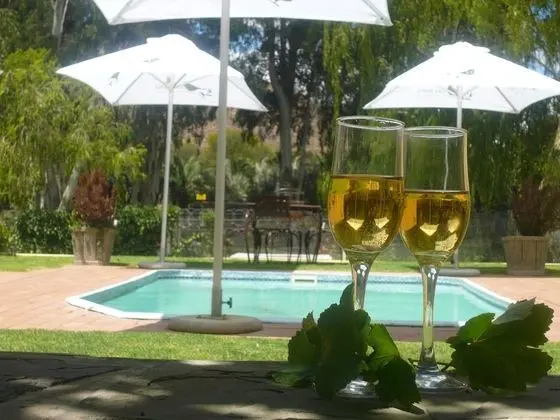 17 on Bird Guest House - Havuz