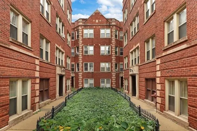 1BR Portage Park Apt in Montrose
