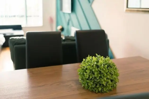 2 bed 2 bath apartment in City Centre - İç Mekan