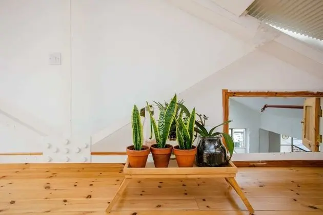 2 bed Artistic/designer Flat Near Broadway Market - İç Mekan