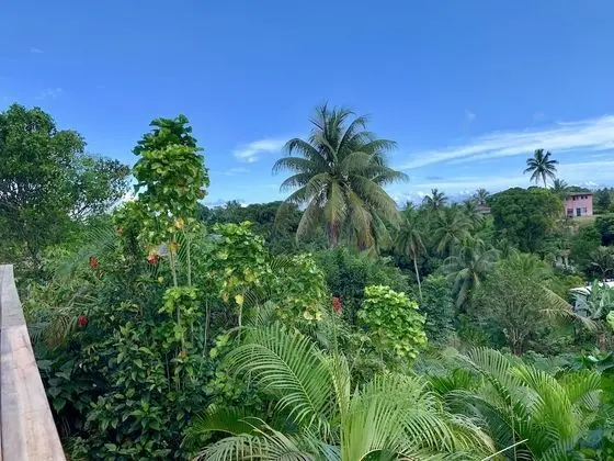 2 Bedroom Apartment at Delainavesi Home