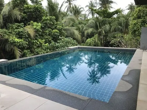 2 Bedroom Villa Nature SDV004-By Samui Dream Villas - Havuz