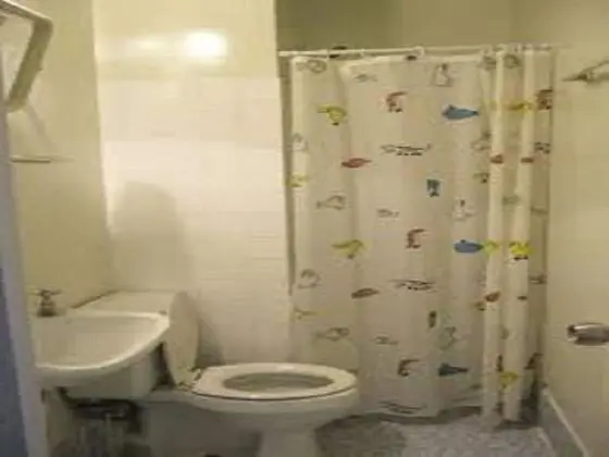 2 King Beds With Taxi Meetgreet Service - Banyo Tipleri