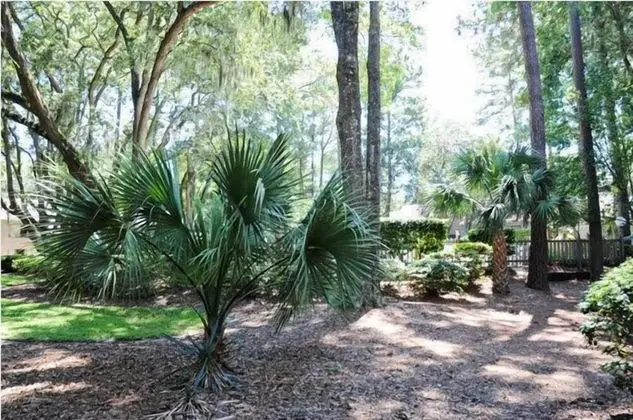 2247 Heritage at The Sea Pines Resort
