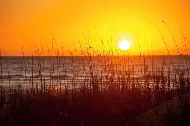 2278 Heritage at The Sea Pines Resort - Plaj