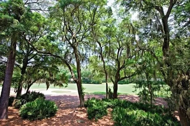 2352 Racquet Club at The Sea Pines Resort - Genel