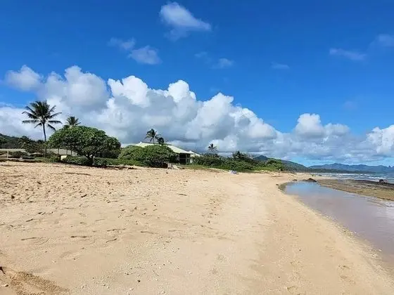 2417 at Lihue Oceanfront Resort - Plaj