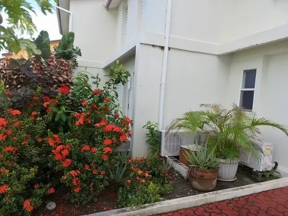 Villa 244C Jolly Harbour - Dış Mekan