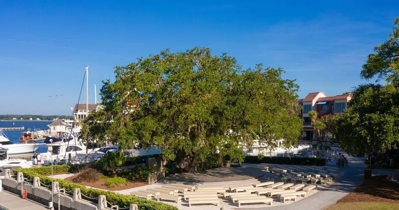 288 Stoney Creek at The Sea Pines Resort - Dış Mekan