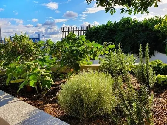 2BR Food Drink Hub Gym Pool Views Roof Terrace