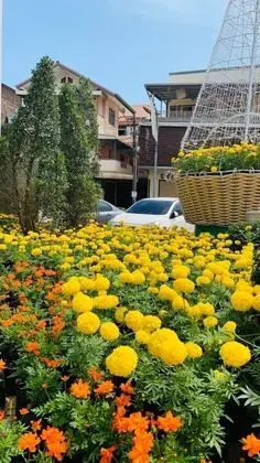 2Street Hostel at Surathani - Adults Only - Dış Mekan