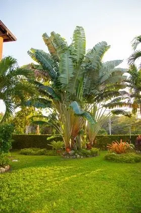 3 bdrm Town House at Runaway Bay - Dış Mekan